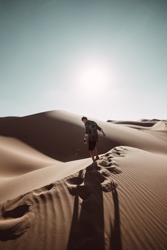 Abu Dhabi Desert Safari: Experience the Mythical and Timeless Beauty of the Desert